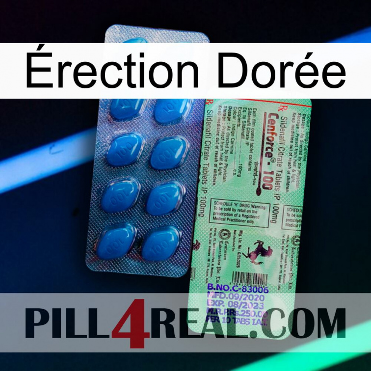 Érection Dorée new02